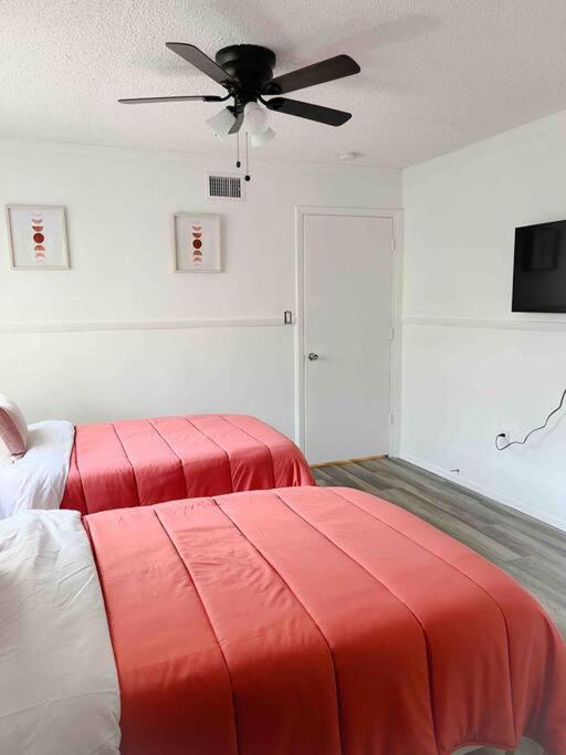 Sparkling Guest Home 2 Bedroom-15 Minutes To Clearwater Beach Dış mekan fotoğraf